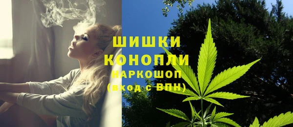 стаф Бикин
